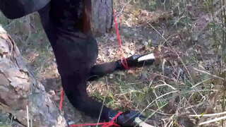 Topuklu Laura, siyah elbiseli ve yüksek topuklu ayakkabılı, tahtaya bağlanmış ve maskelenmiş üvey kız kardeşi, bir bick horozunu emmek zorunda.